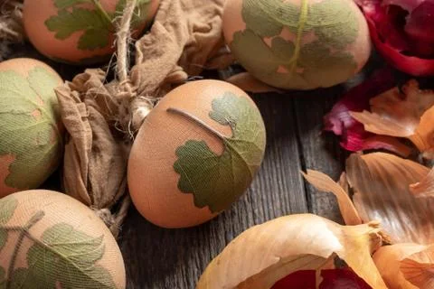 Preparation of Easter eggs for dyeing with onion peels Stock Photos