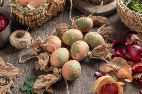 Preparation of Easter eggs for dying with onion peels Stock Photos