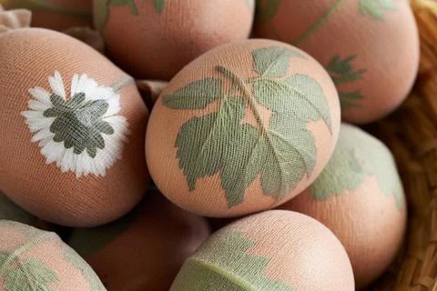 Preparation of Easter eggs for dying with onion peels Stock Photos