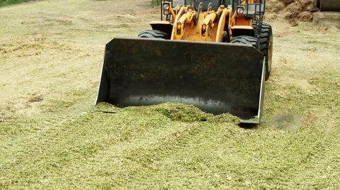 Preparation of feed for livestock 库存影片 62449573