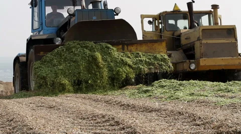 Preparation of feed for livestock Stock Footage 62925391