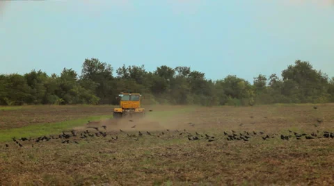 Preparation of fields for sowing Stock Footage 1395814