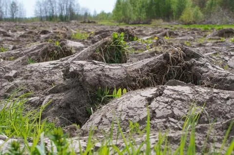 Preparation of fields in the spring, plowed field Stock Photos