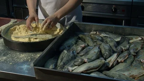 Preparation of fish for frying. Enveloping with spices and breadcrumbs  Stock Footage 90685052