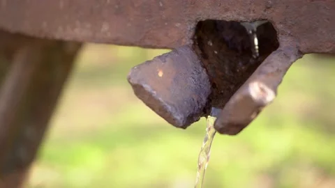 Preparation of fresh apple juice with an old fruit press. Close up squeezing of Stock Footage 167660583