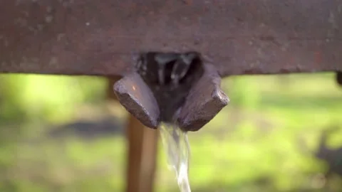 Preparation of fresh apple juice with an old fruit press. Close up squeezing of Stock Footage 167701716