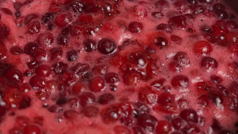 Preparation of freshly picked red cranberries with sugar to make cranberry jam Stock Footage 288192018