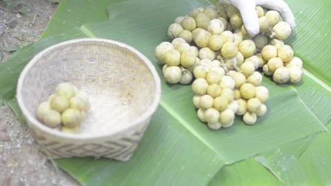 Preparation of fruit Stock Footage 158836908