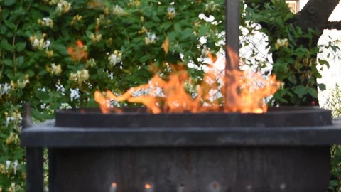 Preparation for grilling on the outdoor. Bbarbeque. Fire Stock Footage 110692248