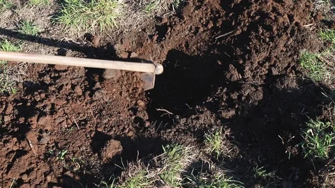 Preparation ground for tree Stock Footage 88171303