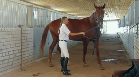 Preparation For Horseback Riding Stock Footage 22288459