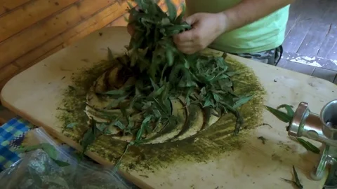 Preparation of Ivan tea by hand Stock Footage 110753064