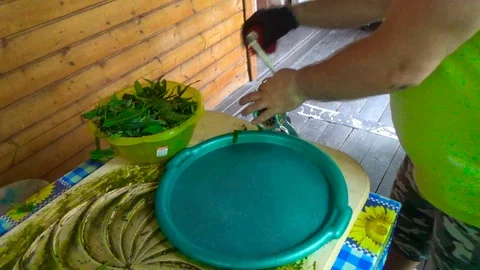 Preparation of Ivan-tea in a meat grinder Video stock 110751673