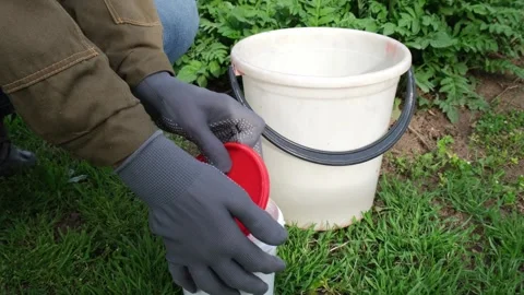 Preparation of lime paint for garden trees. white powder for whitewashing Stock Footage 330311472