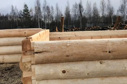 Preparation of logs for the assembly of structure. Materials for Stock Photos