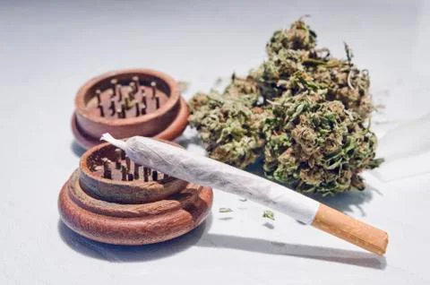 Preparation of marijuana cigarettes Stock Photos