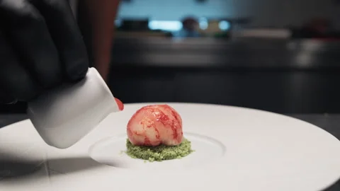 The preparation of a molecular cuisine dish Stock Footage 262440149