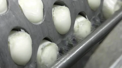 Preparation of mozzarella in a dairy Video stock 114439387