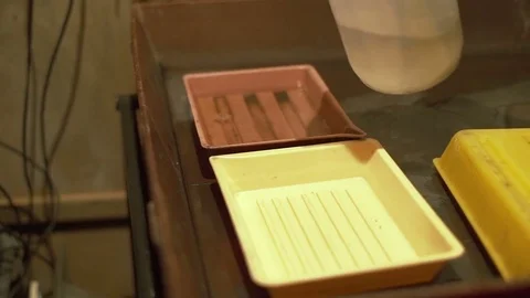 Preparation for the photo development close-up Video stock 72101732