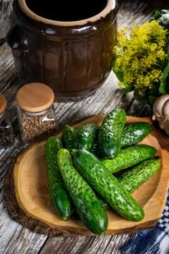 Preparation for pickling cucumbers. Stock Photos