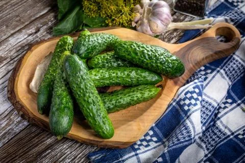 Preparation for pickling cucumbers. Stock Photos