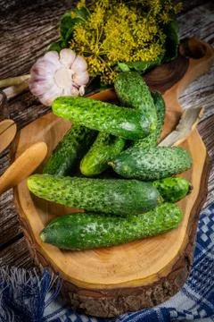 Preparation for pickling cucumbers. Stock Photos