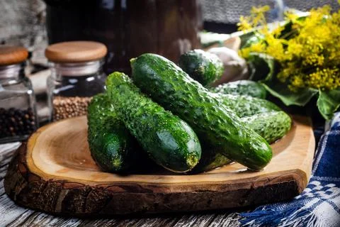 Preparation for pickling cucumbers. Stock Photos