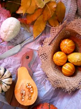Preparation of pumpkin, fruit and chocolate dessert Stock Photos