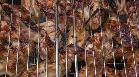 Preparation of roasted meat on the fire for a picnic. Vídeo Stock 65788017