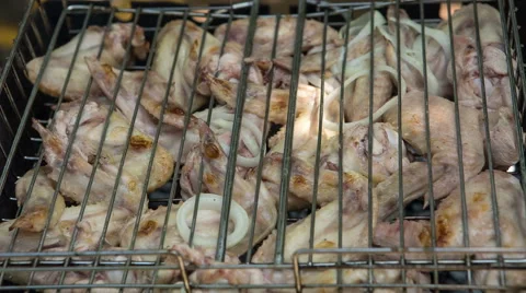 Preparation of roasted meat on the fire for a picnic. Stock-Footage 65788102