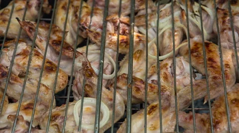 Preparation of roasted meat on the fire for a picnic. Vídeo Stock 65788181