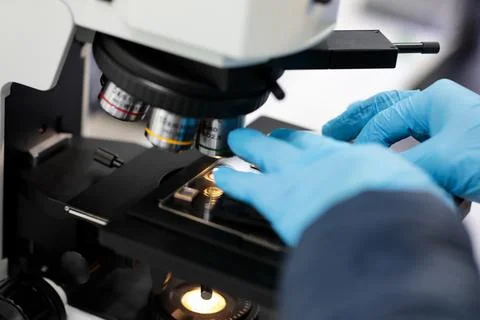 Preparation of a sample for observation Stock Photos