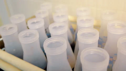Preparation of samples for analysis: mixing soil samples in the laboratory Stock Footage 233070797