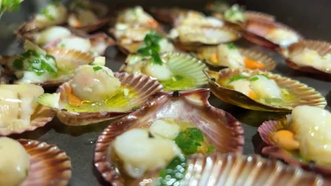 Preparation of scallops for cooking Video stock 221100777
