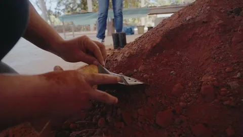 Preparation of seedbeds and the direct handling of native soil for reforestation Stock Footage 325324131