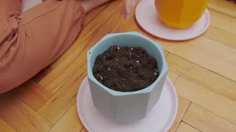Preparation of soil in trays for seedlings 動画素材 175228285
