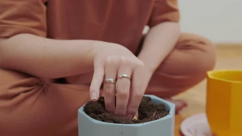 Preparation of soil in trays for seedlings Stock Footage 175228775