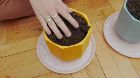 Preparation of soil in trays for seedlings 動画素材 175230079