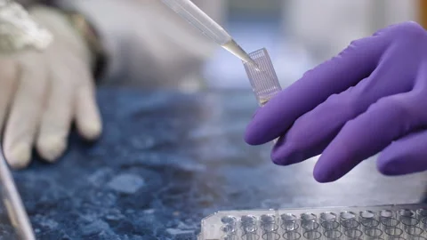 Preparation of substances for analysis on a spectrophotometer Vidéo 172538947