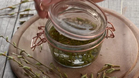 Preparation of tincture from young willow branches with buds Video stock 171942681