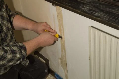 Preparation for wallpapering Foto stock