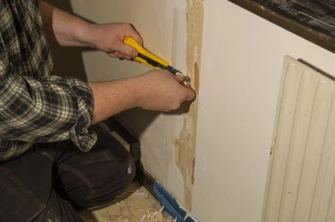 Preparation for wallpapering Stock-Fotos