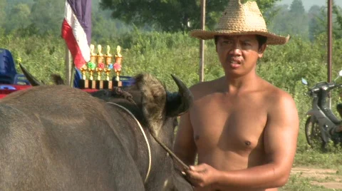 Preparations Stock Footage 485290