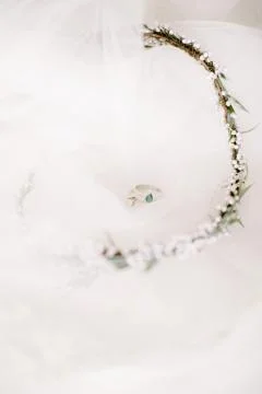 Preparations for the wedding day. Stock Photos