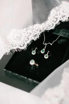 Preparations for the wedding day. Stock Photos