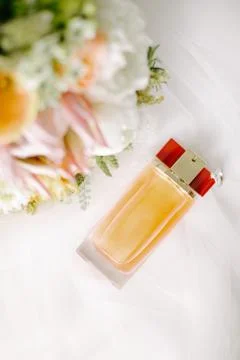Preparations for the wedding day. Stock Photos