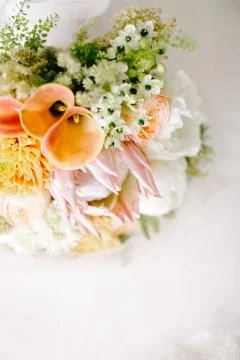 Preparations for the wedding day. Stock Photos