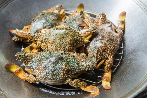Prepare blue crab for steaming Stock Photos