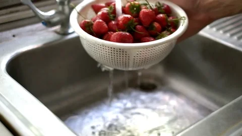 Prepare Cleansing Strawberry Stock Footage 73079880
