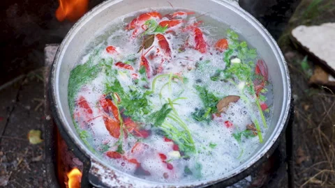 Prepare crayfish in cauldron with hot water boiling or in plate Stock-Footage 276855006